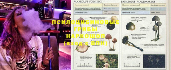 прущая мука Кодинск