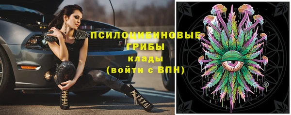 сатива Козельск