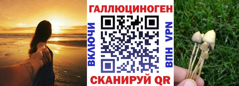 Псилоцибиновые грибы MAGIC MUSHROOMS Купить закладки Баксан